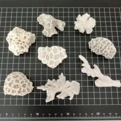 天然サンゴ 8個セット 水槽レイアウトのサムネイル