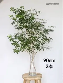 アセビ 90cm 2本 枝物 生花 インテリア 装飾 映える枝