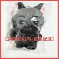 2025年最新】ジェイ ぬいぐるみ enhypenの人気アイテム - メルカリ