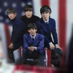 The Beatles CDセットのうち11枚のみ