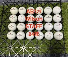 ★AB★Wilsno STAFF 24球 ロストボール