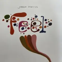 Jesse Harris - Feel