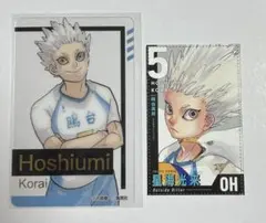 ハイキュー　星海光来　箔押しクリアカード　【おまけ】選手カード