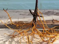 るい様 リクエスト 3点 まとめ商品