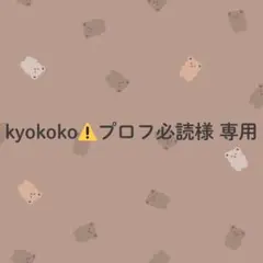 kyokoko⚠️プロフ必読様専用／調味料ラベル③