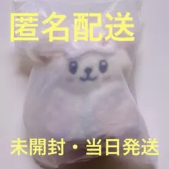 2026年最新】stray kids SKZOO PLUSH PuppyM の人気アイテム - メルカリ