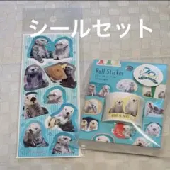 鳥羽水族館 タイルシール ラッコ メイ キラ - メルカリ
