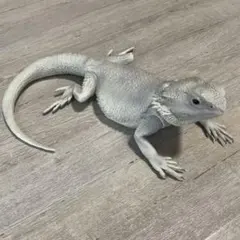 爬虫類　1番くじ　B賞 フトアゴヒゲトカゲ フィギュア ハイポゼロ