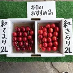 やまがた紅王 3L 350g と 紅てまり 2L 350g - メルカリ