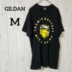 Gildan【M】トーマス・ラッセル 中学校 Tシャツ L ギルダン 黒黄