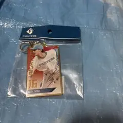 日本ハムファイターズ⭐️勝利祈願アクリルキーホルダー⭐️#16達孝太