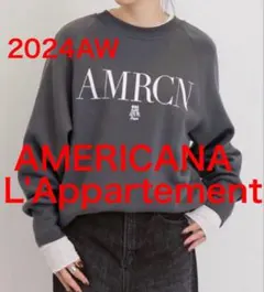 2025年最新】アメリカーナ アパルトモンの人気アイテム - メルカリ