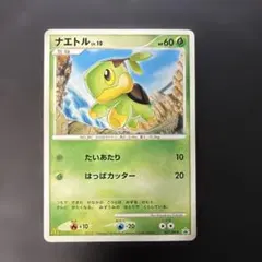 PSA10 ナエトル ホロ プレイヤーズプロモ 2026年最新】ナエトル プロモの人気アイテム - メルカリ