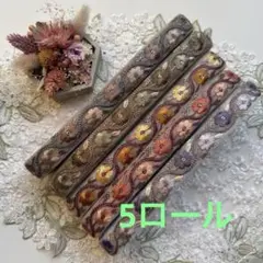 新入荷♡5ロールセット