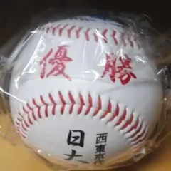 第93回全国高校野球選手権大会 優勝、準優勝記念ボール 第98回全国高校野球選手権大会 準優勝記念ボール - メルカリ