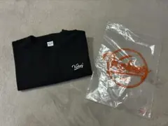 Item thumbnail for item c74f3a7c-32d7-4472-aa79-2e5bcb47490d