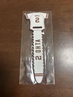 Item thumbnail for item fd159226-203c-4ec8-9061-afd860348298