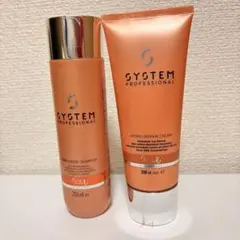 2026年最新】SYSTEM PROFESSIONAL シャンプーの人気アイテム - メルカリ