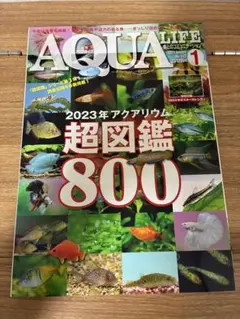 P-METAL様 リクエスト 3点 まとめ商品