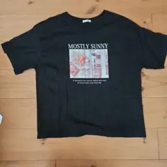 COLZA 半袖Tシャツ Mサイズ 黒