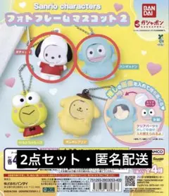 サンリオ フォトフレームマスコット　ハンギョドン　ポチャッコ