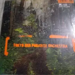 2025年最新】美しく燃える森 奥田民生の人気アイテム - メルカリ