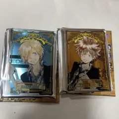 家庭教師ヒットマンREBORN!　沢田綱吉 ステータスカード　バジル