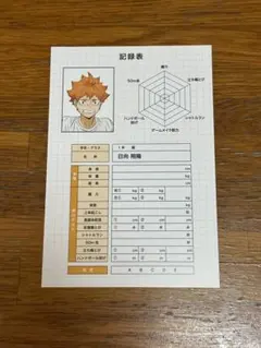 ハイキュー!! アニメイト 特典 ポストカード 日向翔陽