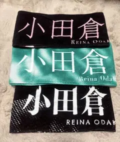 Item thumbnail for item 9963a10e-37ed-4615-afa0-d1992487b95c