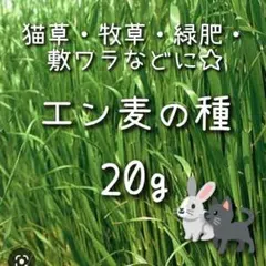 まえさん様 リクエスト 2点 まとめ商品