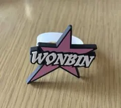 RIIZE ウォンビン　ペンライト　アクセサリー