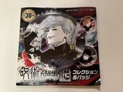 呪術廻戦展 コレクション缶バッジ 冥冥