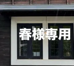 春様 リクエスト 2点 まとめ商品