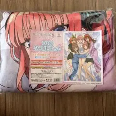 2026年最新】五等分の花嫁 大判タオルケット レトロモダンの人気