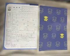 ★ ミッフィー ★ ゼクシィ　ミッフィー　婚姻届　クリアファイル　セット