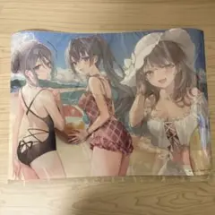 時々ボソッとロシア語でデレる隣のアーリャさん　くじ引き堂　A3 クリアポスター