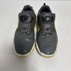 NIKE ゴルフシューズ ダイヤル式 グレー メンズ