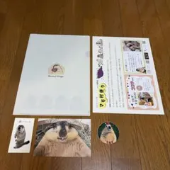 マーモット村東京店　来場者限定お土産セット
