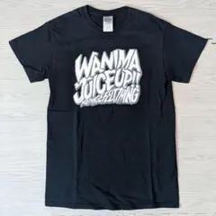 美品】andymori アンディモリ 小山田壮平 バンドロゴTシャツ サイズS