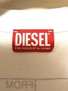 DIESEL Tシャツ ホワイト DSLロゴ