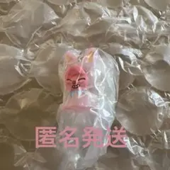 StrayKids スキズ SKZOO めじるしアクセサリー トェッキ