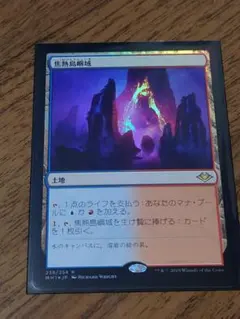 MTG 霧深い雨林 日本語版 マジックザギャザリング 旧枠 - メルカリ