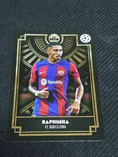 2025年最新】ラフィーニャ カードの人気アイテム - メルカリ