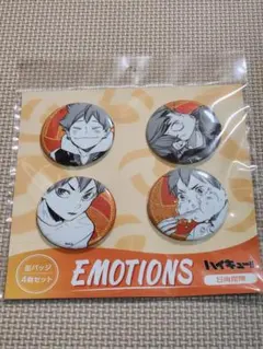 日向翔陽 EMOTIONS 缶バッジ 4個セット