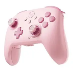 BIGBIG WON Wireless Controllers CHOCO