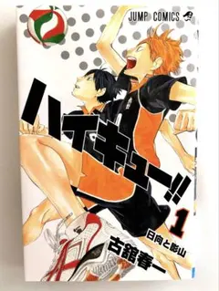 【ハイキュー！！】漫画1巻〜10巻セット