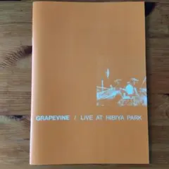 GRAPEVINE / LIVE AT HIBIYA PARK