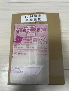 初版 ポケセン産 バトルパートナーズ BOX シュリンク付き ナンジャモプロモ