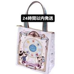 【新発売】スーベニアランチケース★テーマポートグッズ　25周年　ディズニーシー