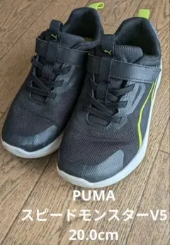 Puma ブラック/イエロー 20cm